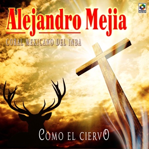 Обложка для Alejandro Mejia - Cordero De Dios