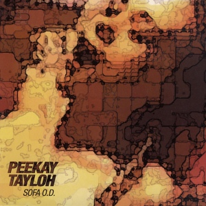 Обложка для Peekay Tayloh - The Hole U R In