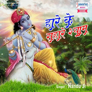 Обложка для Nandu Ji - Haare Ke Sahare Shyam