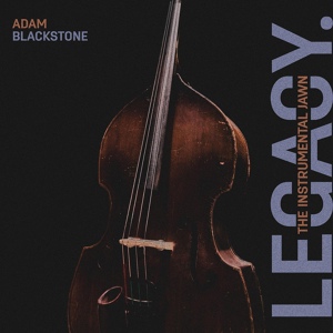 Обложка для Adam Blackstone - New Day