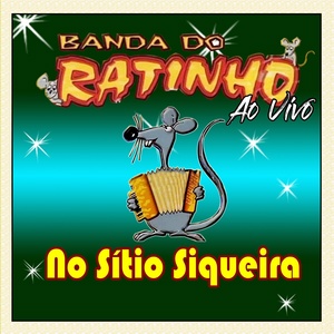 Обложка для BANDA DO RATINHO - Perguntas sem respostas - BANDA DO RATINHO