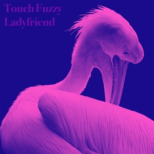 Обложка для Touch Fuzzy - Ladyfriend