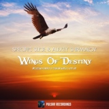 Обложка для Specific Slice & Alexey Shirmalov - Wings Of Destiny (Original Mix)