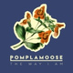 Обложка для Pomplamoose - The Way I Am