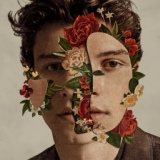 Обложка для Shawn Mendes - In My Blood