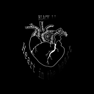 Обложка для BLACK LI - Heart in the Heart