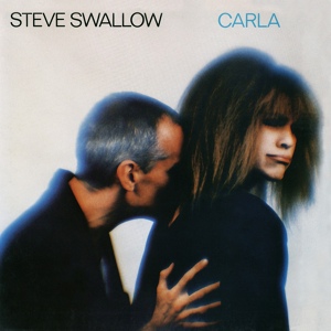 Обложка для Steve Swallow - Hold It Against Me