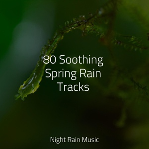 Обложка для Wellness, Brown Noise, Pacific Rim Nature Sounds - Driving in the Rain