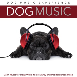 Обложка для Dog Music Experience - Relaxing Dog Music