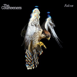 Обложка для The Courteeners - Cameo Brooch