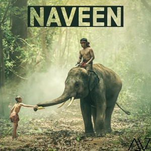 Обложка для Alyve - Naveen