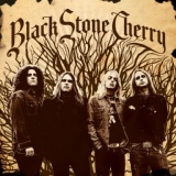 Обложка для Black Stone Cherry - Shooting Star