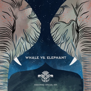 Обложка для Whale vs. Elephant - Black Sea