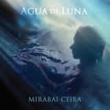 Обложка для Mirabai Ceiba - We Are the Mirror
