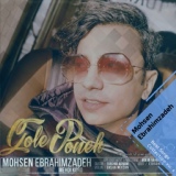 Обложка для Mohsen Ebrahimzadeh - Bardasht Raft