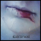 Обложка для Black Cat Music - At the End of All That's Good and Pure