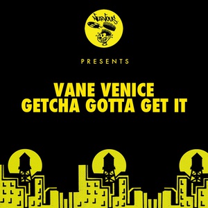 Обложка для Vane Venice - Getcha Gotta Get It (The Cucarachas Remix)