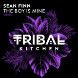 Обложка для Sean Finn - The Boy Is Mine