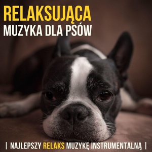 Обложка для Relaks Psów - Wcale nie jest proste