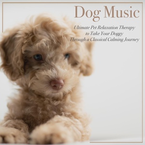 Обложка для Dog Music Dreams, RelaxMyDog, Pet Music Therapy - Music Through a Dog's Ear