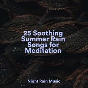 Обложка для Soothing Chill Out for Insomnia, Wellness, Sleep Sounds of Nature - Static Rains