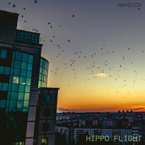 Обложка для Naydich - Hippo Flight