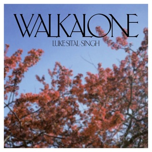 Обложка для Luke Sital-Singh - Walk Alone