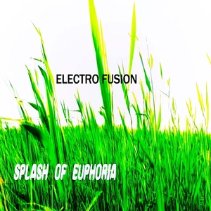 Обложка для Electro Fusion - Splash of euphoria