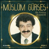 Обложка для Müslüm Gürses - Ağlanmaz mı