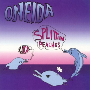 Обложка для Oneida - Song Y