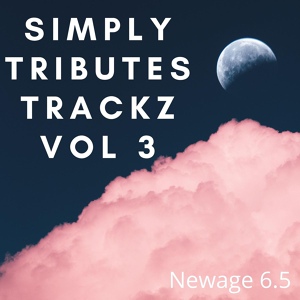 Обложка для Newage 6.5 - Surface Pressure (Tribute Version Originally Performed By Jessica Darrow) [From "Encanto"]