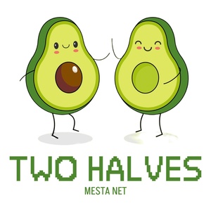 Обложка для MESTA NET - Two halves