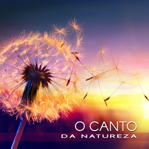 Обложка для Natureza Musica Bem-Estar Academia - O Canto da Natureza