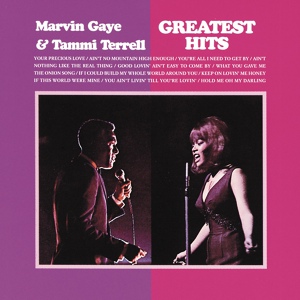 Обложка для Marvin Gaye, Tammi Terrell - What You Gave Me
