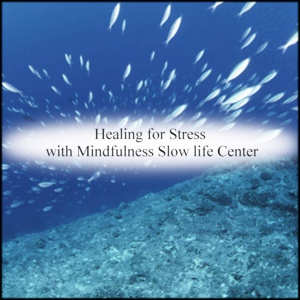 Обложка для Mindfulness Slow life Center - Key and Stress Free