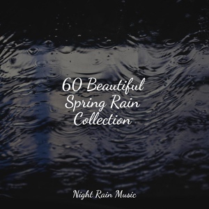 Обложка для Big Sounds, Chillout Lounge, Ambient Rain - Rain, Nature, Medium, Light Wind