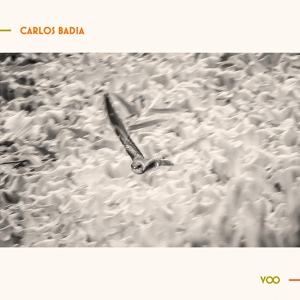 Обложка для Carlos Badia feat. Sady Homrich Junior - Oração ao Tempo