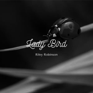 Обложка для Riley Robinson - Lady Bird