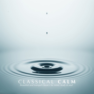 Обложка для Various Artists - Serenade for Strings in C Major, Op. 48: II. Elegy. Larghetto elegiaco