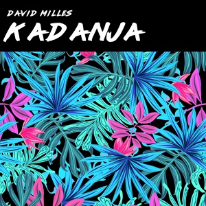 Обложка для David Milles - Kadanja