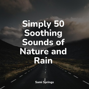 Обложка для Sonido Del Bosque y Naturaleza, Thunder Storm, Loopable Rain - Camping Kettle on the Fire