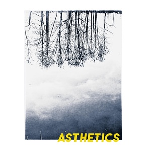 Обложка для Asthetics - Катакомбы