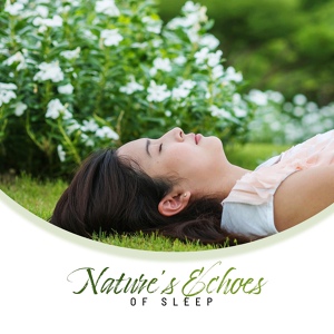 Обложка для Relax Meditate Sleep, All Night Sleeping Songs to Help You Relax - Liquid Piano