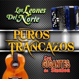 Обложка для Los Leones Del Norte - El Ultimo Beso