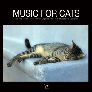 Обложка для Pet Music World - Pets Love Music - Relaxation Music for cats