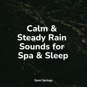 Обложка для Tinnitus Aid, Exam Study Classical Music, White Noise Baby Sleep - All Day Rain
