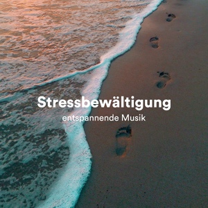Обложка для Klassisk Musik Orkester & Schlaflieder Relax - Gesundheit