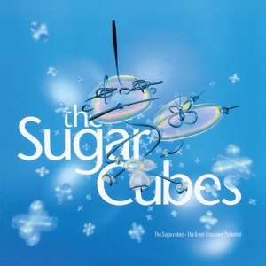 Обложка для The Sugarcubes - Regina