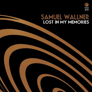 Обложка для Samuel Wallner - Lost In My Memories