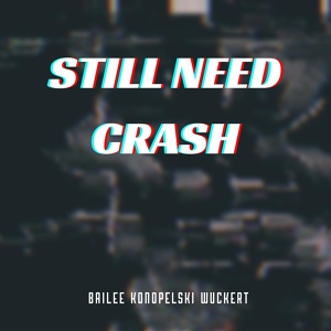 Обложка для Bailee Konopelski Wuckert - Still Need Crash